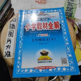 小学教材全解 五年级语文下 人教版 2017春