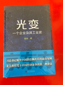 光变：一个企业及其工业史