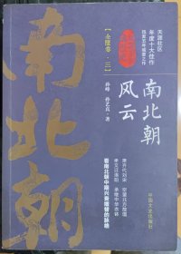 南北朝风云·第三卷（认认真真讲历史）