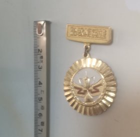 烟台地区体育运动优胜奖奖牌（第一名）
