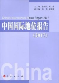 中国国际地位报告（2017）