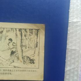 连环画,飞雪迎春