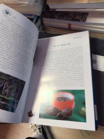 《武夷茶经：修订本》