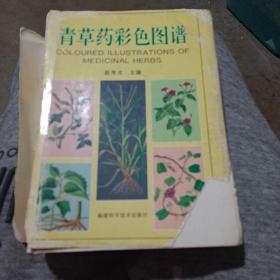 青草药彩色图谱