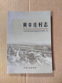 黄辛庄村志