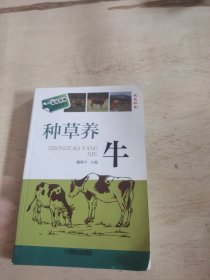 种草养牛