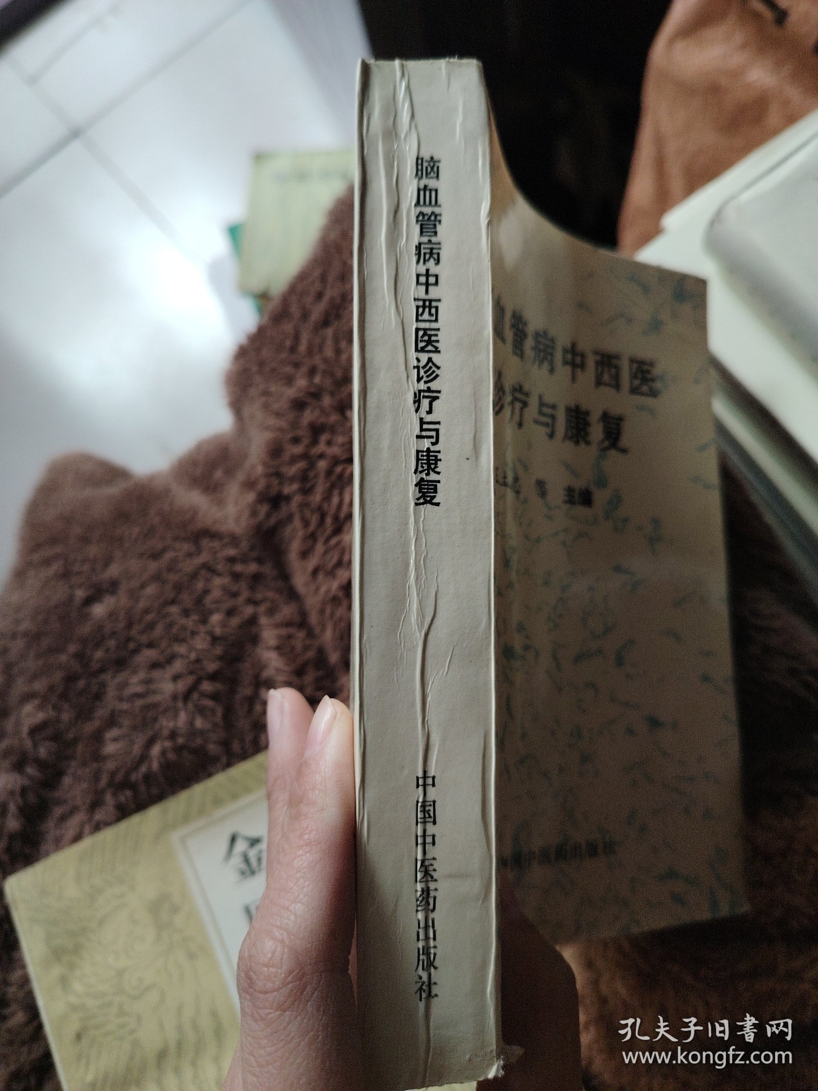 脑血管病中西医诊疗与康复