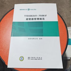 110（66）kV~750kV避雷器管理规范