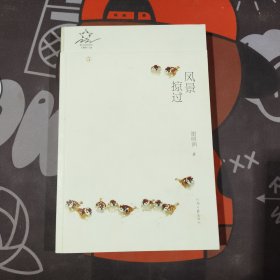 风景掠过.散文诗的星空5（一版一印）
