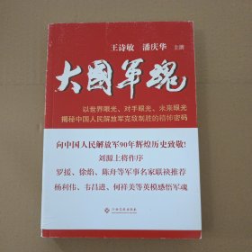 大国军魂