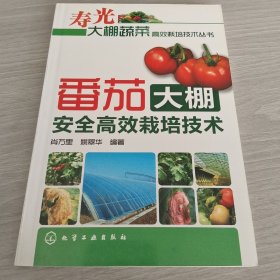 番茄大棚安全高效栽培技术