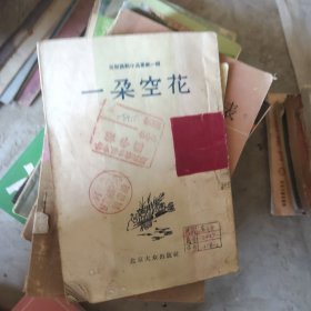 一朵空花