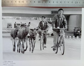 拍摄于44年前的北京长安街头，正、反面摄影印刷画《二子进城……采自1980年的北京长安街，摄影:中国摄影金像奖获得者:郭建设》;画背面《我要上学……采自安徽省六安市金寨县张湾小学，摄影:摄影家解海龙……希望工程部分照片进入中国摄影史，成为希望工程的标志》。图片长21.5Ⅹ宽14.5cm。见附图照片所示。