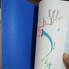 中学概念地图丛书：初中数学概念地图