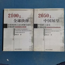 2050·中国展望：中国新工业化发展战略（套装上下卷）