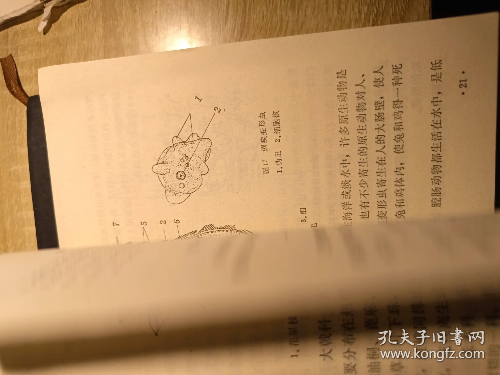 农业基础知识
