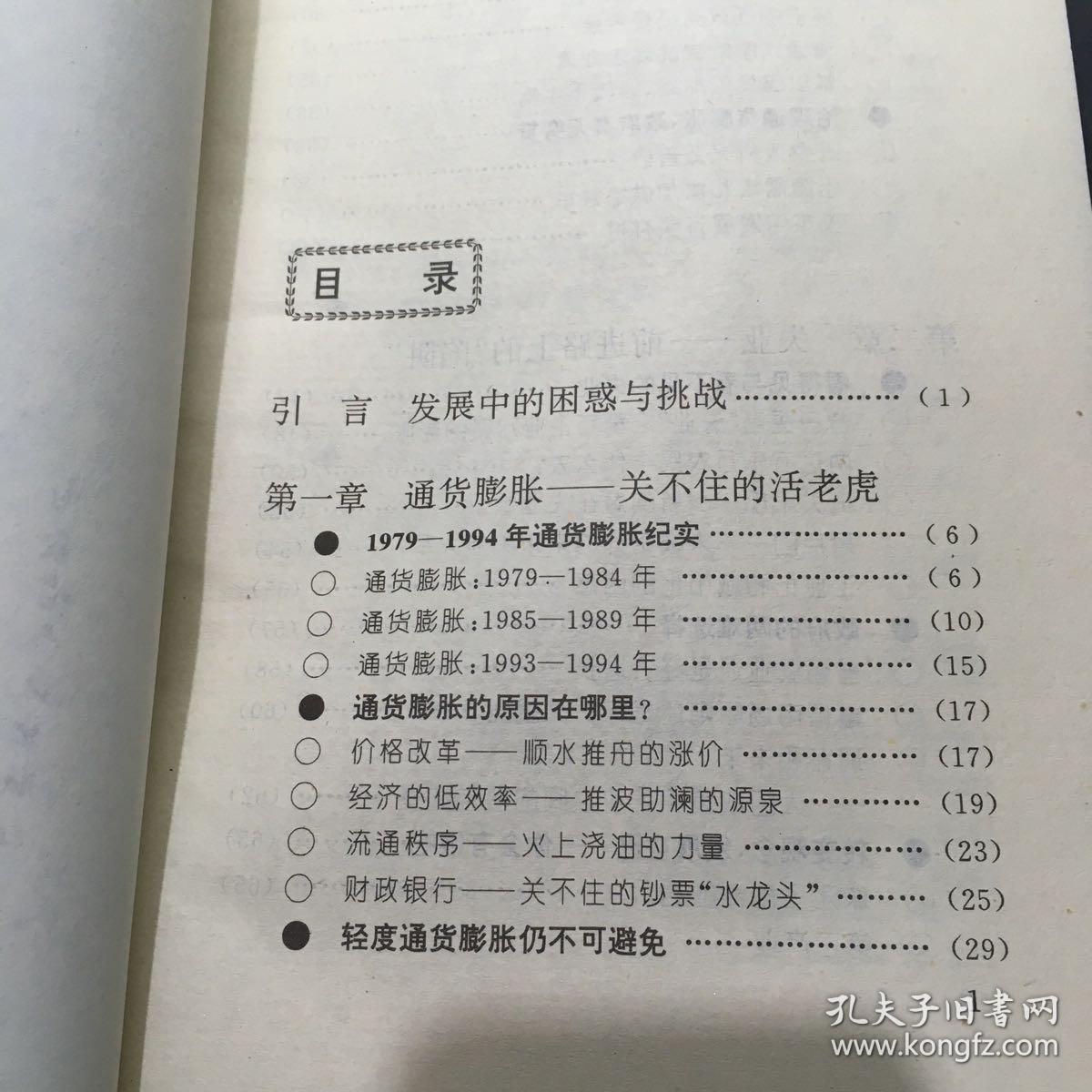 大变革年代:困扰中国的十大问题