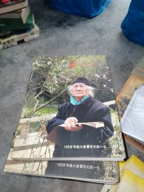 晏济元：105岁书画大家晏济元的一生