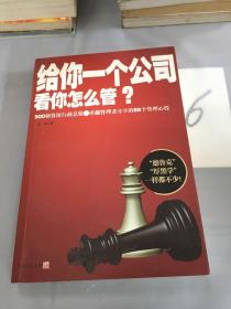 给你一个公司看你怎么管？。。。。，。