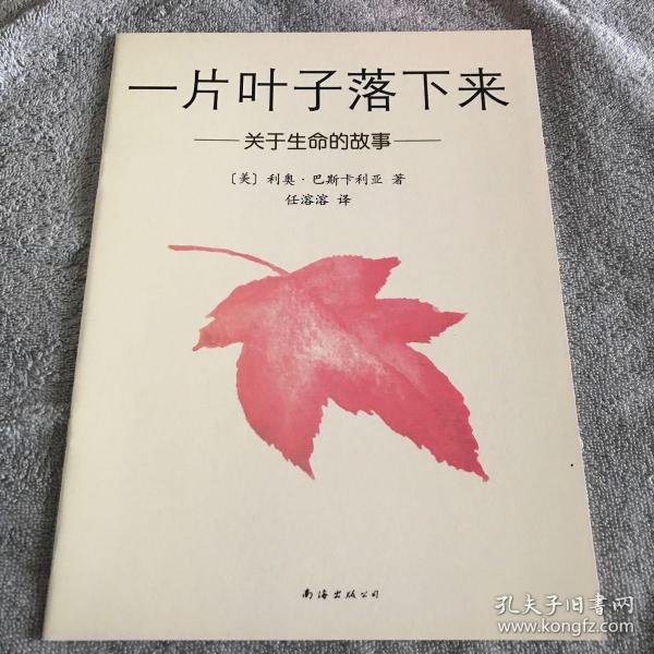 一片叶子落下来