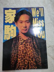 黄家驹写真——We'll Miss You（全彩）