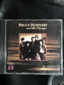 bruce hornsby and the range的专辑the way it is，原版cd盘面完好