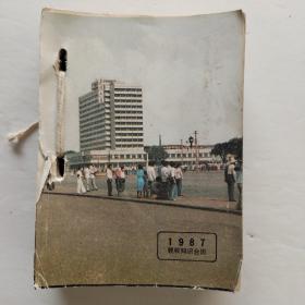 1987年税收知识台历