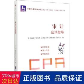 注册会计师2020配套辅导 2020年注册会计师全国统一考试辅导系列 应试指导 审计应试指导