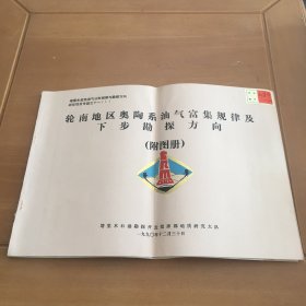 轮南地区奥陶系油气富集规律及下步勘探方向（附图册）