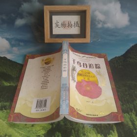 中少版·儿童文学传世名著书系：千鸟谷追踪