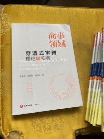 商事领域穿透式审判理论和实务