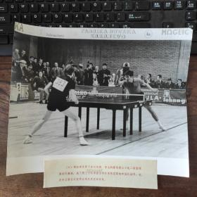 超大尺寸：1973年，第32届世界乒乓球锦标赛--郗恩庭（河北三河市人）获得男子单打冠军