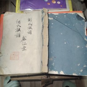 清光绪34年庐江堂 何氏族谱 卷五和卷八 1厚本