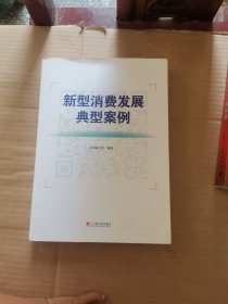 新型消费发展典型案例