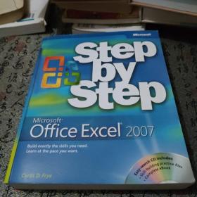 Microsoft Office Excel 2007 进阶指南