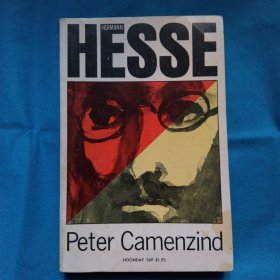 Hermann Hesse: Peter Camenzind 诺贝尔文学奖得主 赫尔曼·黑塞 名作《彼得·卡门钦特》英文版