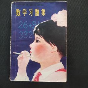 小学生课外读物 数学习题集