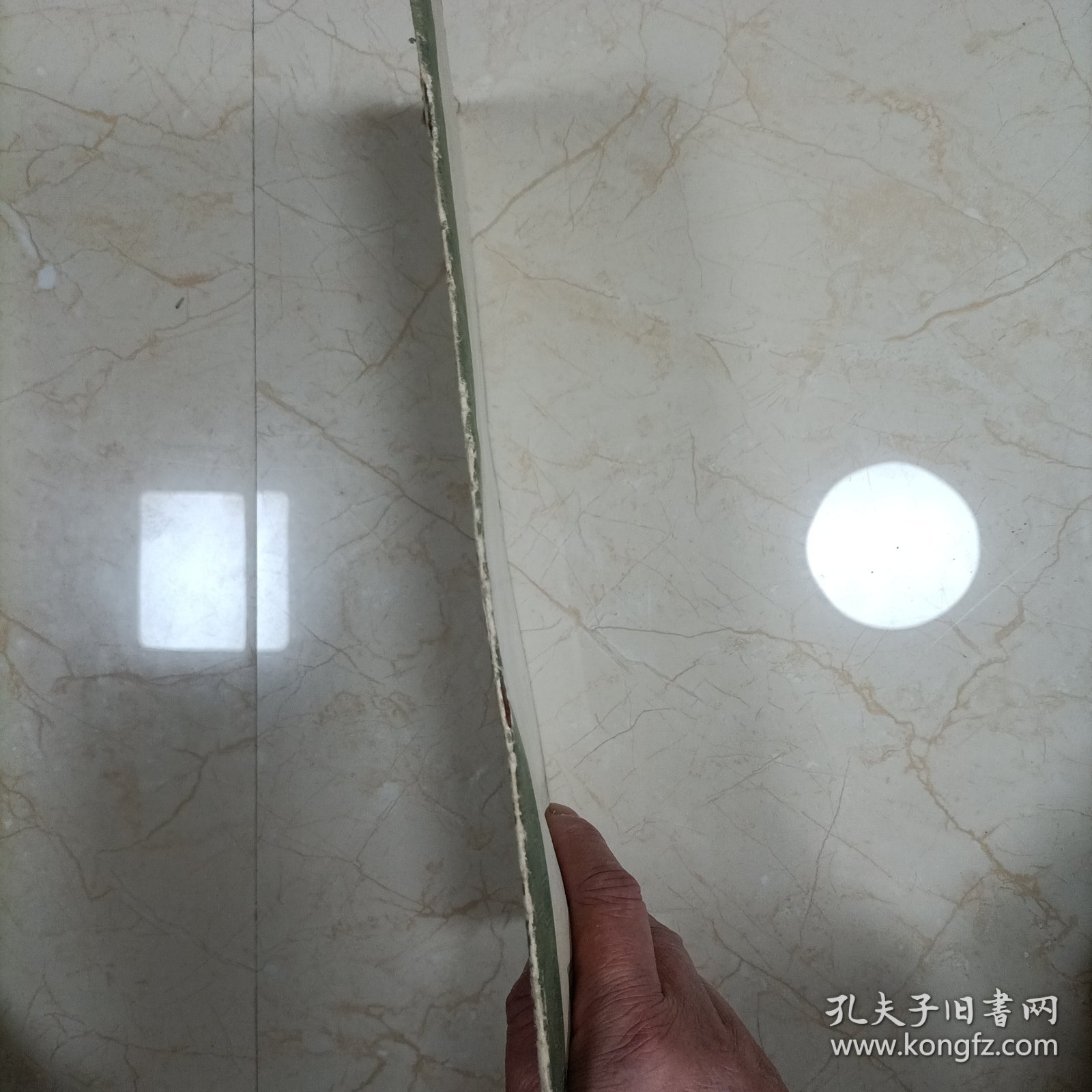 褚遂良孟法师碑