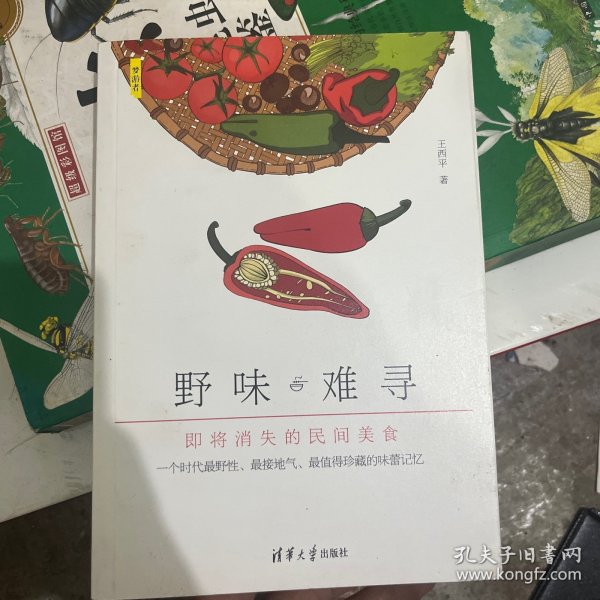 野味难寻：即将消失的民间美食