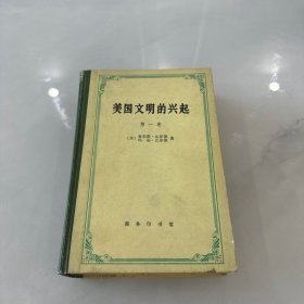 美国文明的兴起（第一卷）