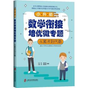 小升初数学衔接培优微专题 ——从算术到代数