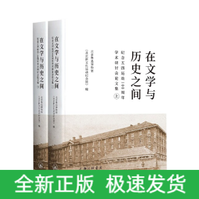 在文学与历史之间(纪念五四运动100周年学术研讨会论文集上下)(精)