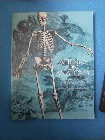 Albinus on Anatomy解剖学上的阿尔比努斯