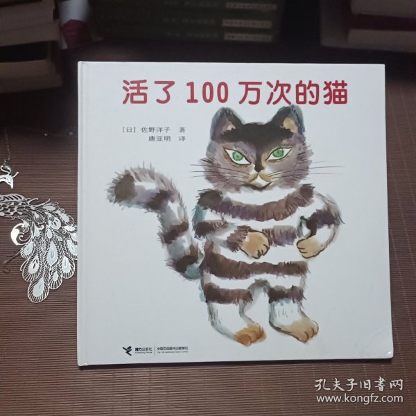 活了100万次的猫