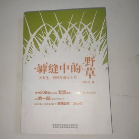 罅缝中的野草