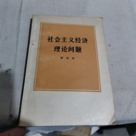 社会主义经济理论问题