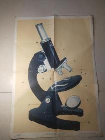 1973年印-中学生物学教学挂图-袁兆熊绘【生物显微镜】！77/53厘米