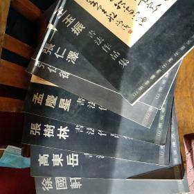 孟庆星、张树林、 徐国轩、 高东岳、王玉振、张仁德、张仁泽书法作品集【一版一印  仅印】7本合售   在公园