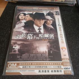 新夜幕下的哈尔滨 2DVD