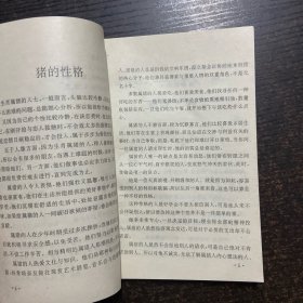 你的属相 猪